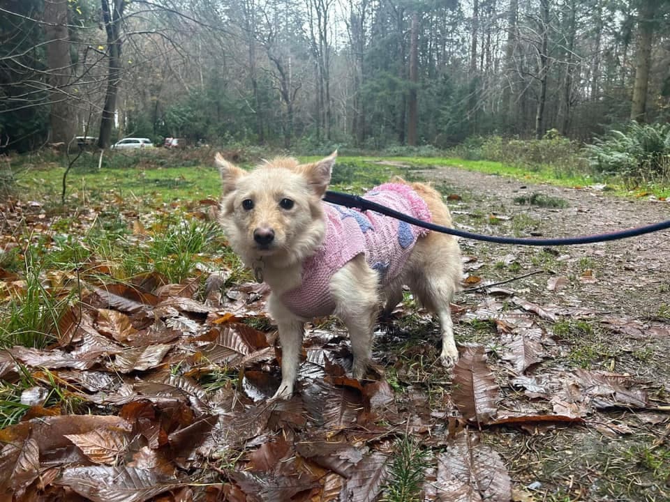 Winnie — Unknown