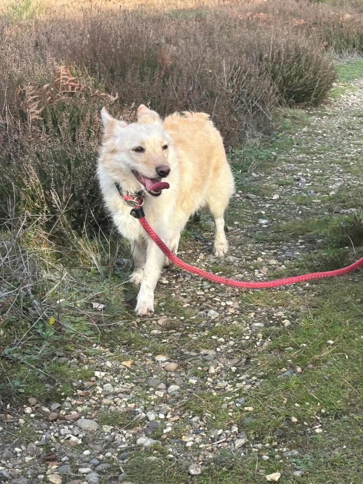 Winnie photo 2
