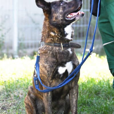 Zeus photo 3