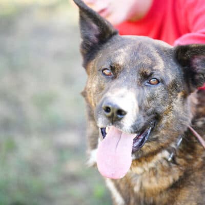 Zeus photo 5