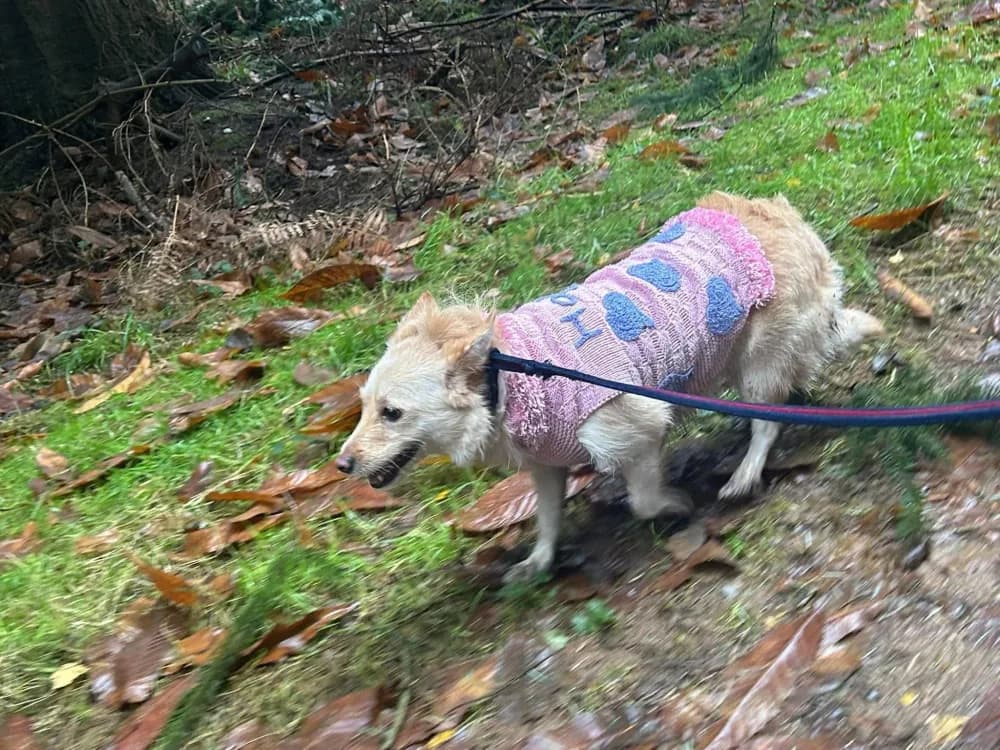 Winnie photo 2