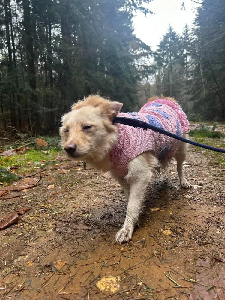 Winnie — Unknown