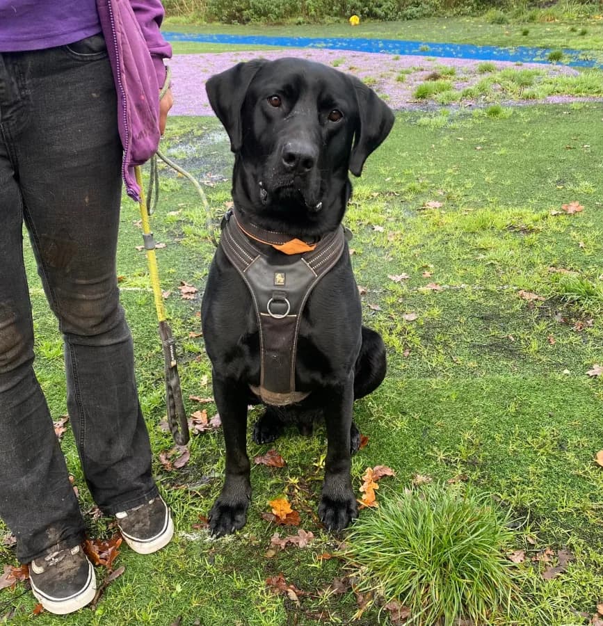 Lenny photo 4