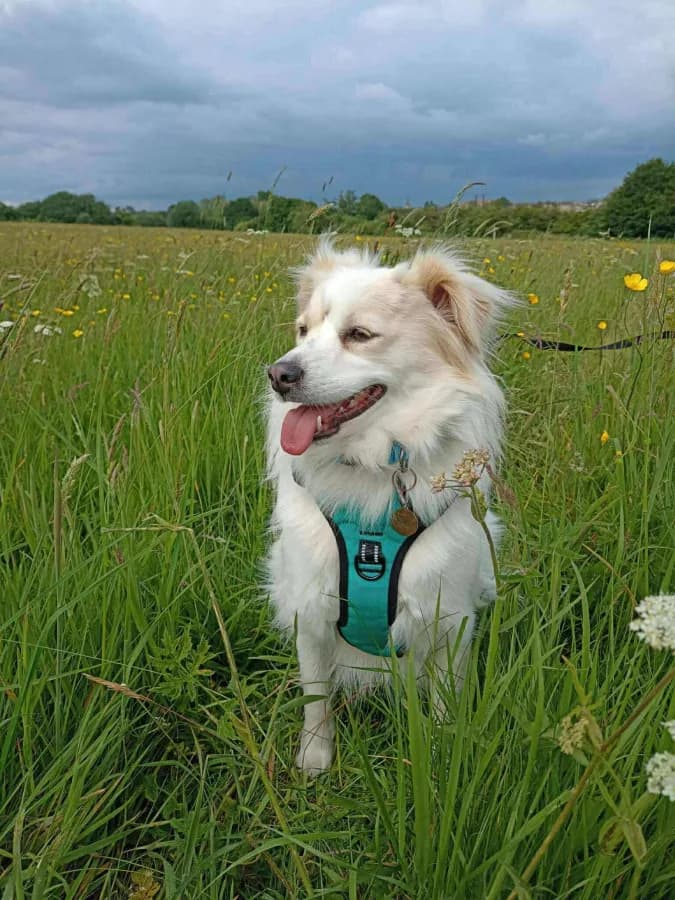 Freya photo 3