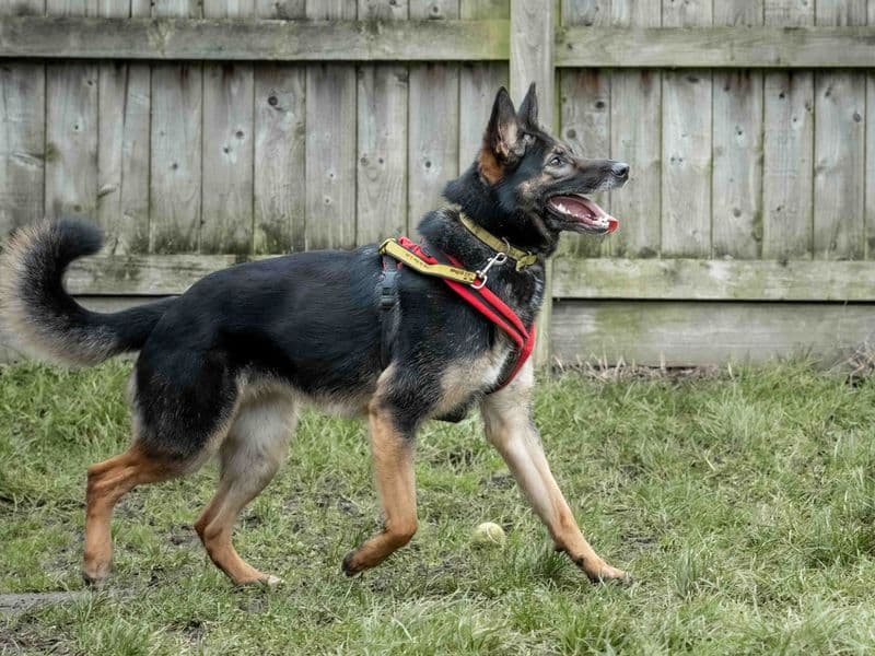 Darla photo 4