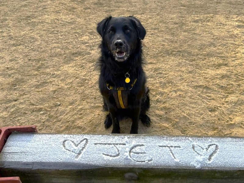Jet photo 2
