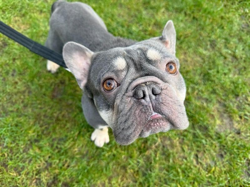 Thor photo 3