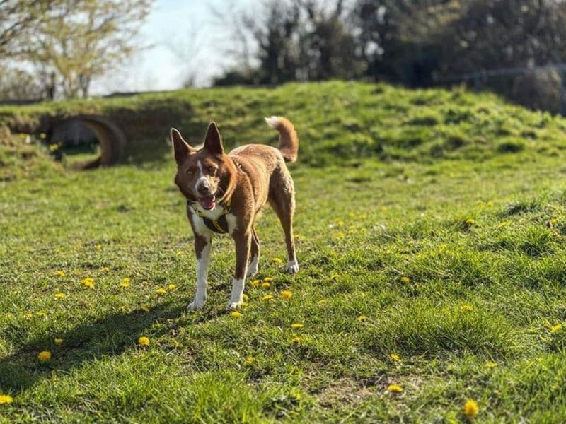 Bennet photo 3