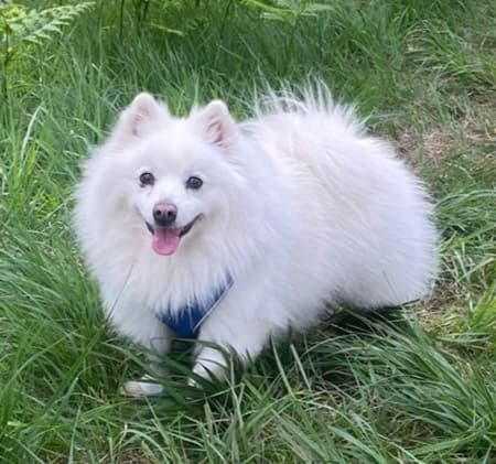 Alfie — Unknown