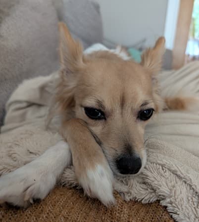 Sookie — Unknown